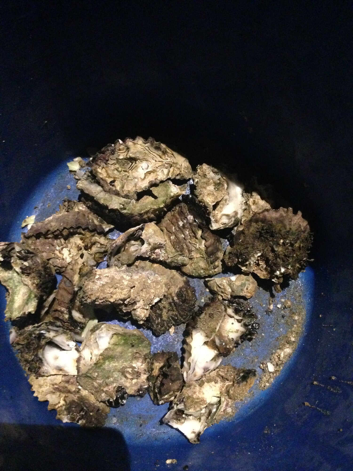 SOLD Temple Island — Private Islands Online Australia