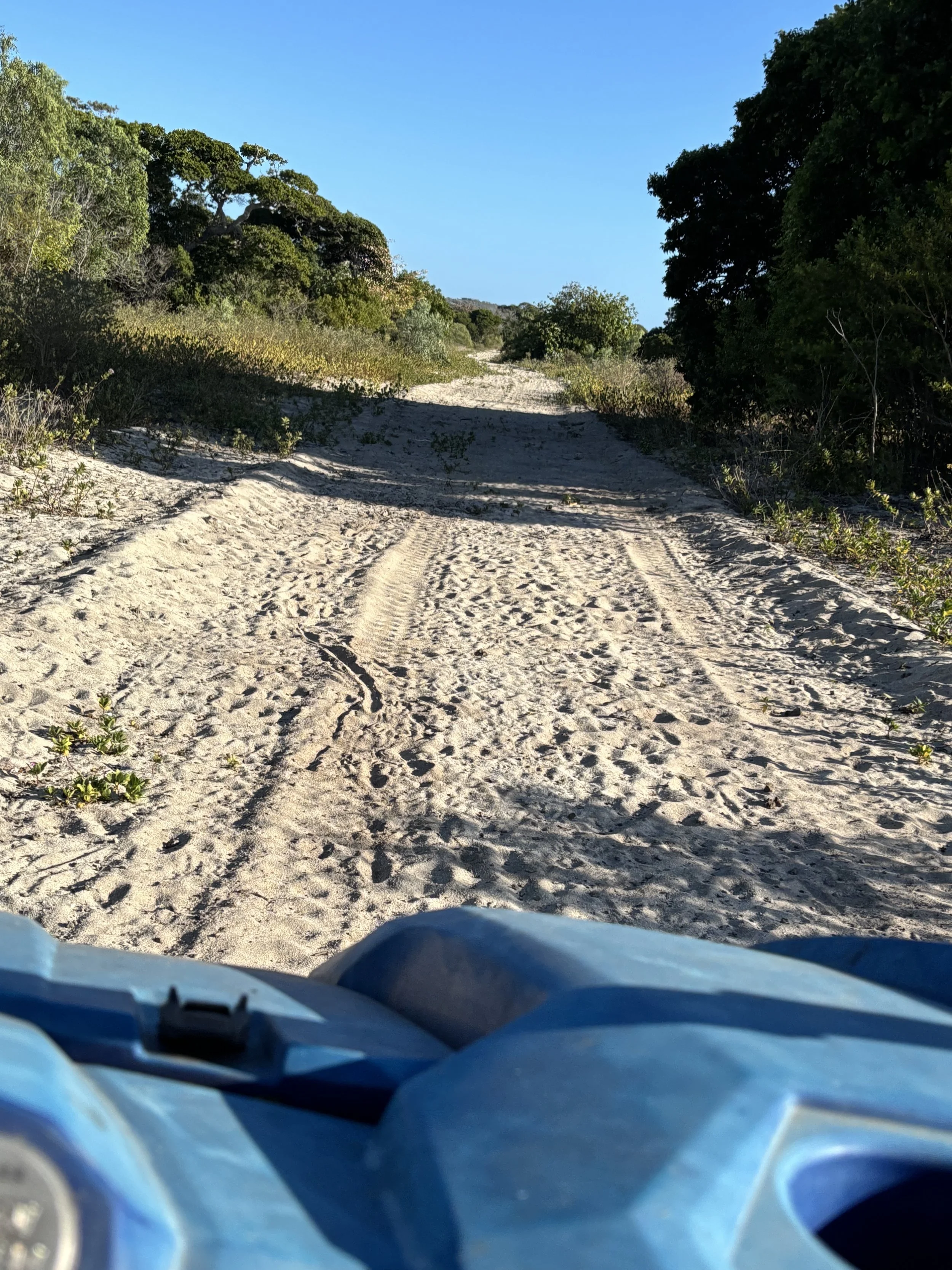 tracks copy.jpg