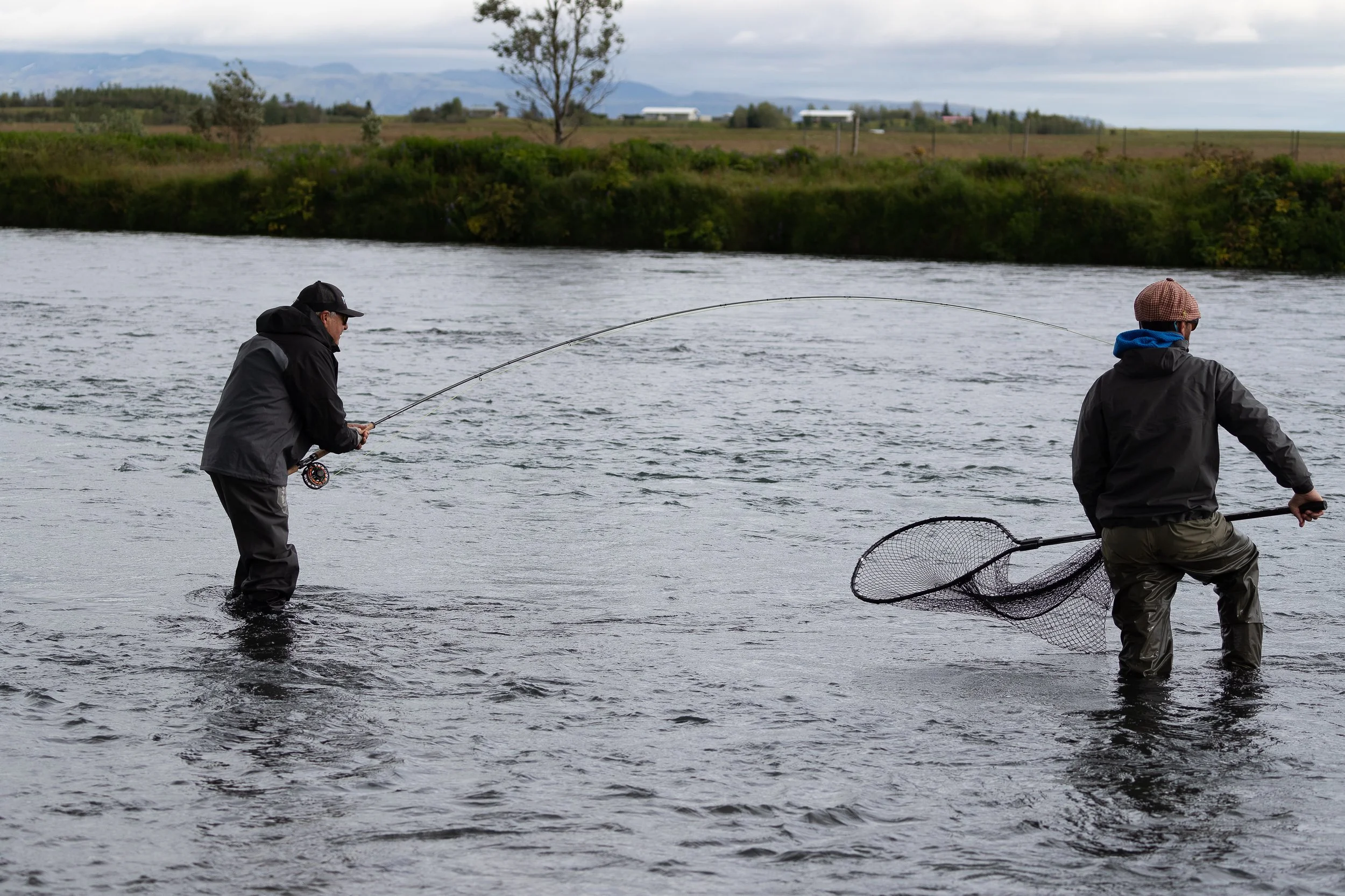A LOT OF GRILSE