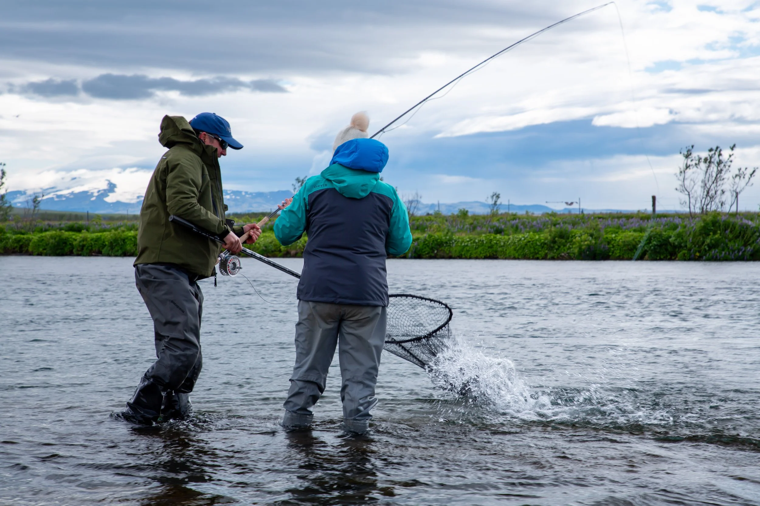 THE GRILSE HAVE ARRIVED