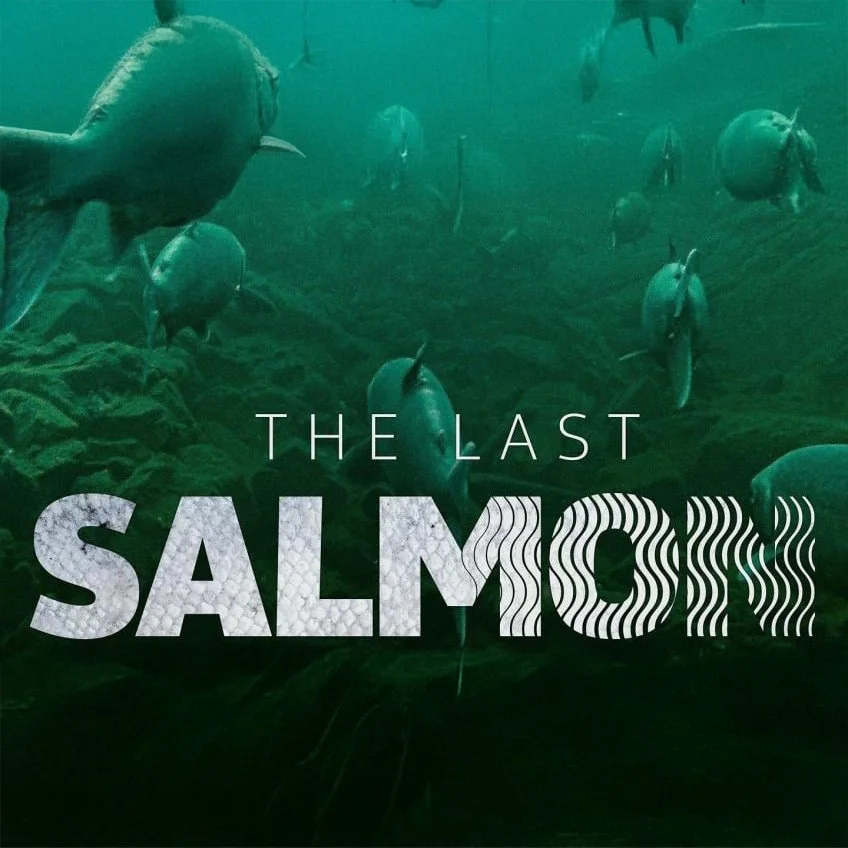 LAST SALMON PODCAST