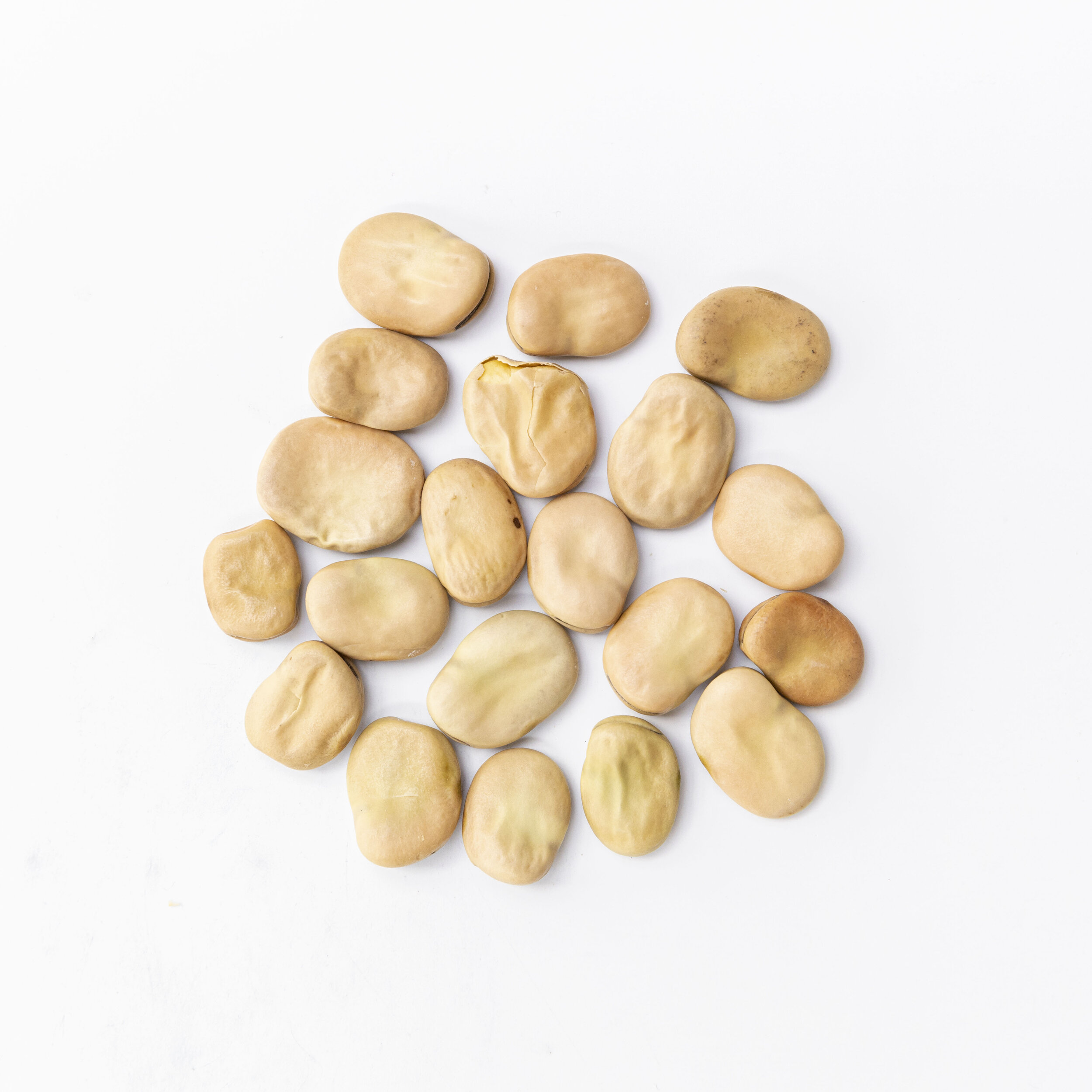 Australian Broad Beans 1kg