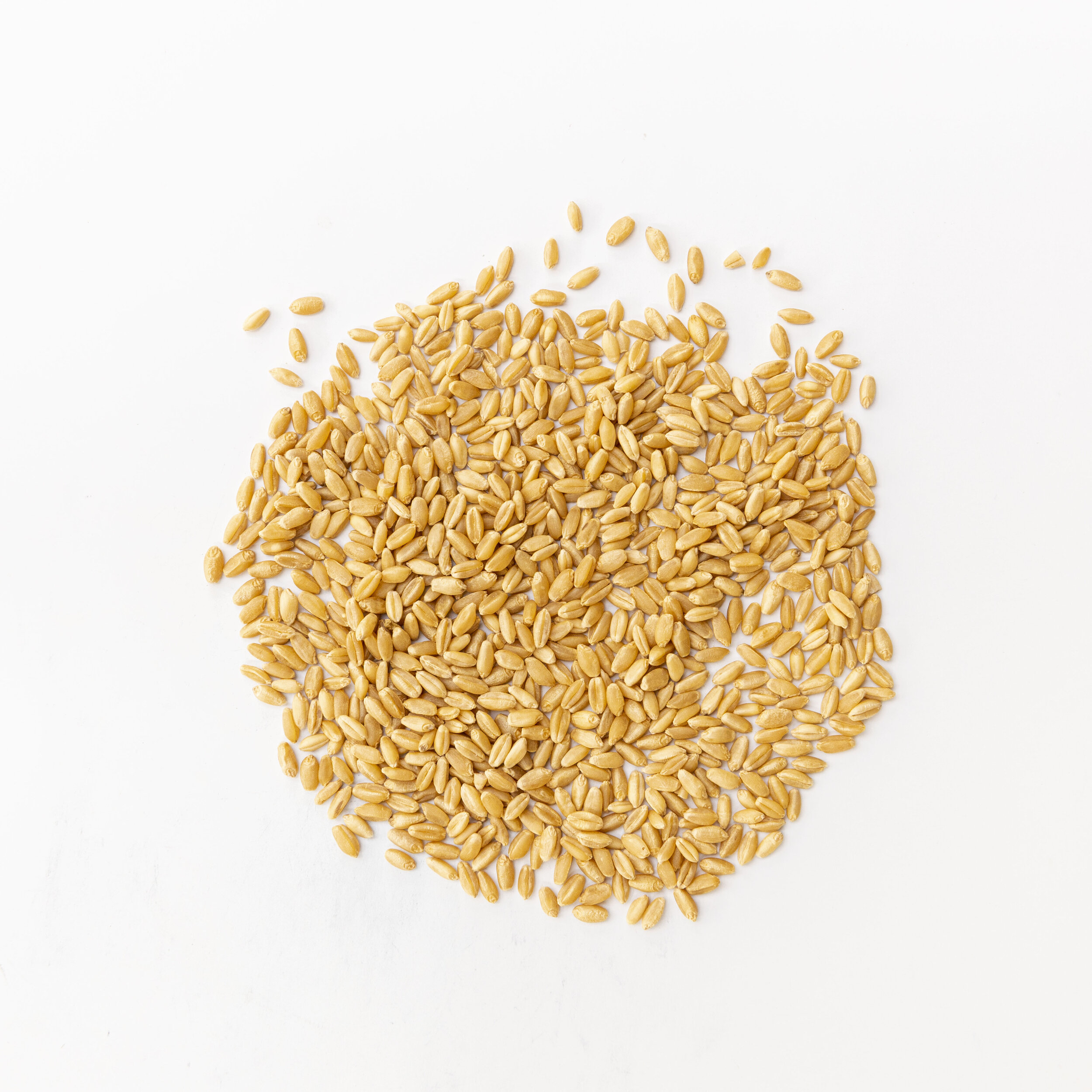 Australian Pearl Barley 1kg