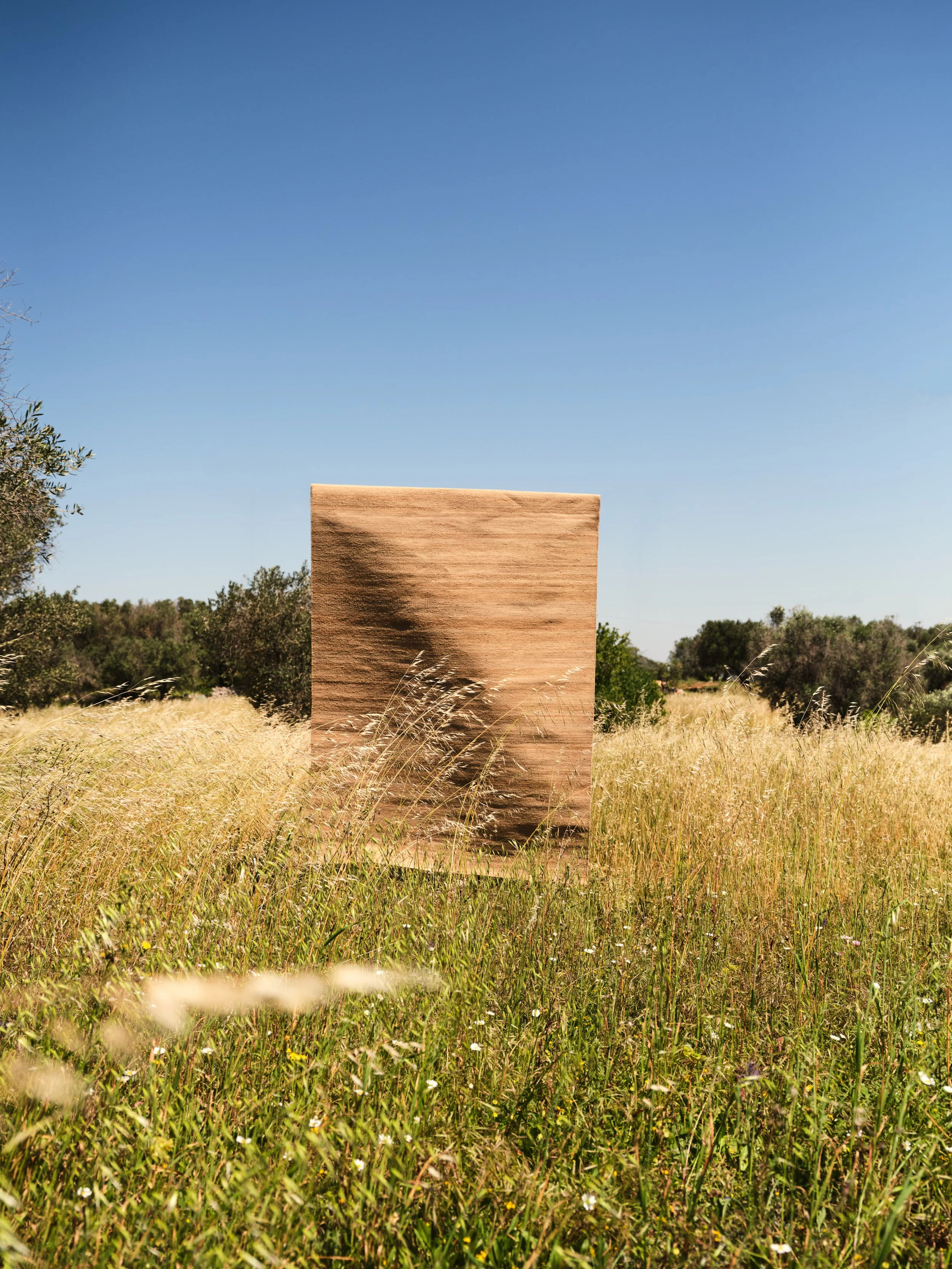 CC_FLATWEAVE SUNPAT_E.jpg