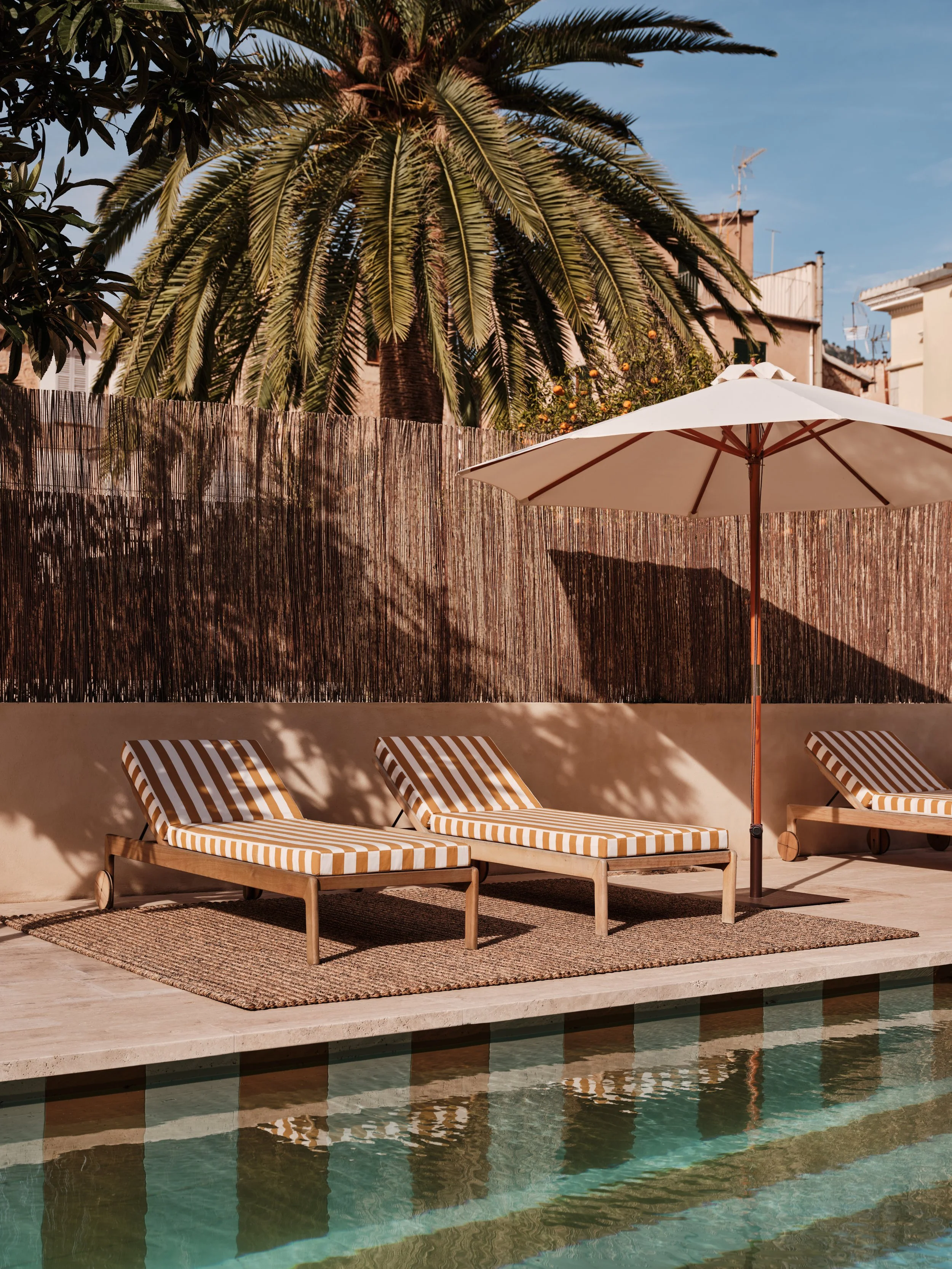 ABACA MICRO TIGER_R.jpg