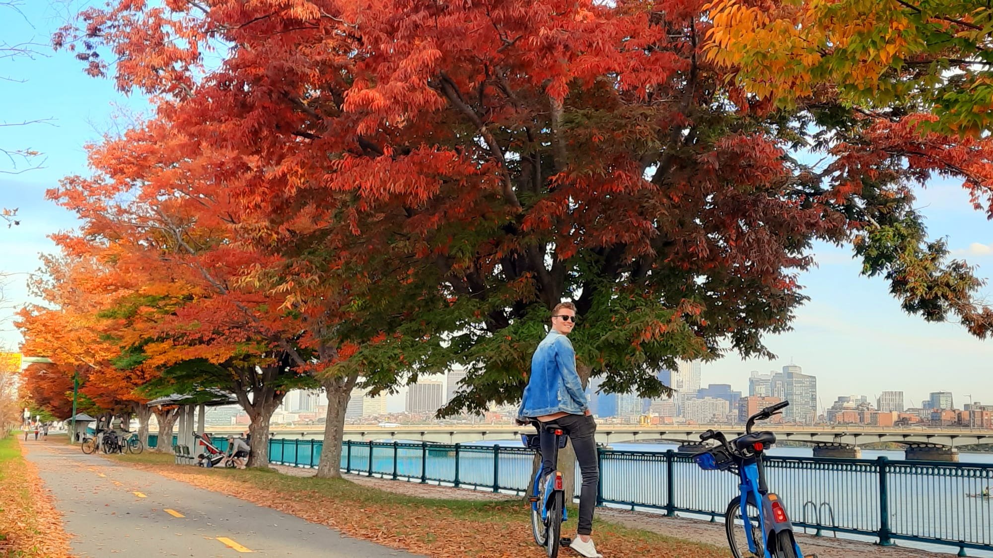 Boston autumn foliage