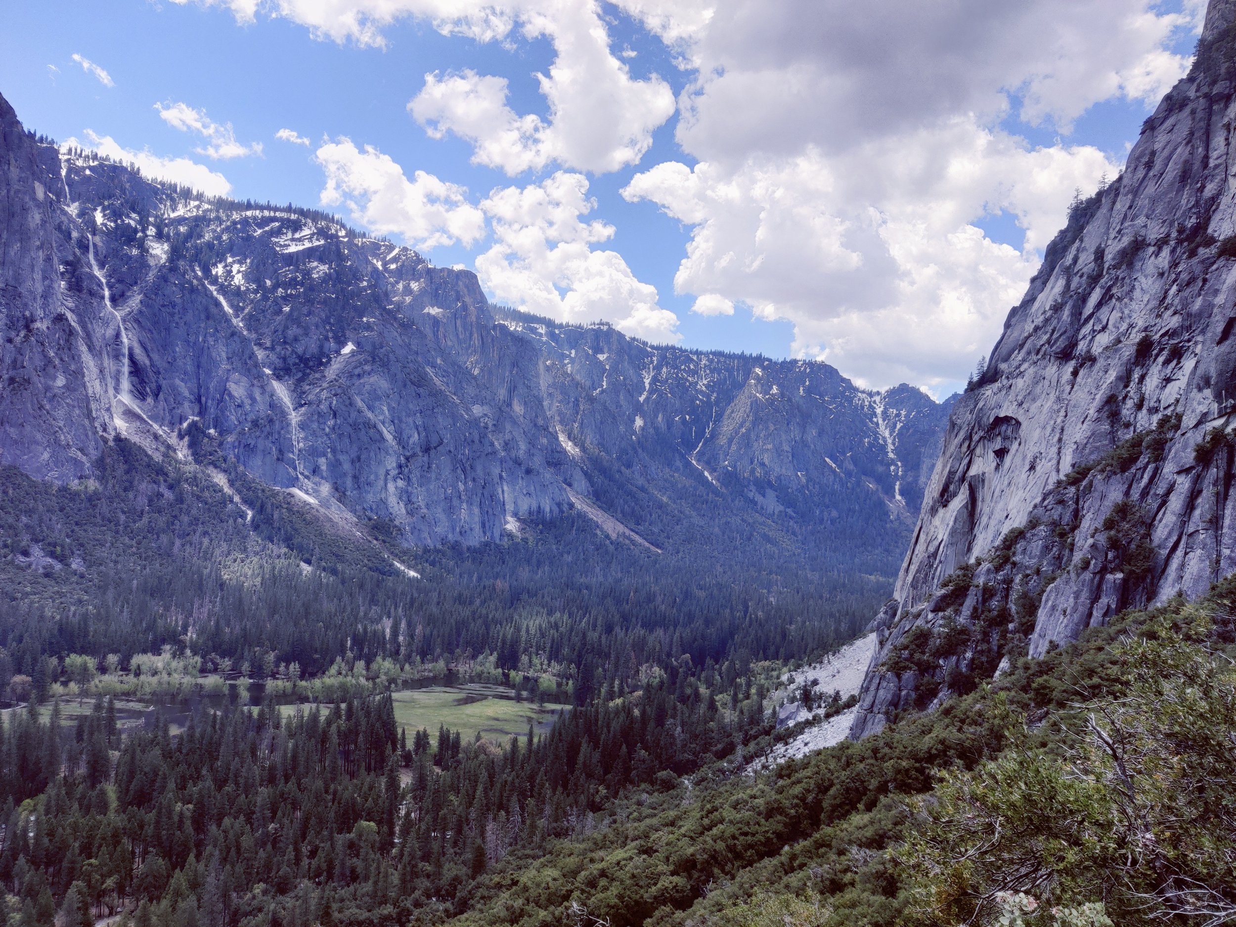 Views of Yosemite Valley