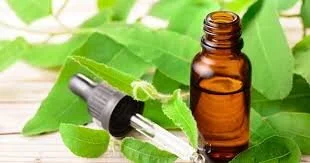 &nbsp;L’Huile Essentielle d’Eucalyptus Radié&nbsp;