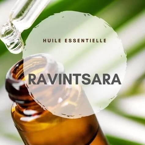 Ostéopathe Arcachon - Quinsac