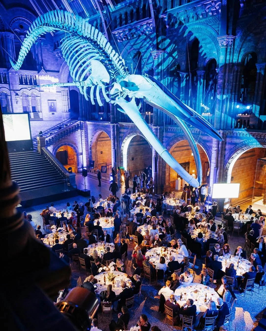 What an incredible night! We are still buzzing from the energy and warmth of the Breaking the Ice Ball. Everyone came together to break the stigma around suicide-related grief.

Every ticket, every bid, and every donation made on the night directly f