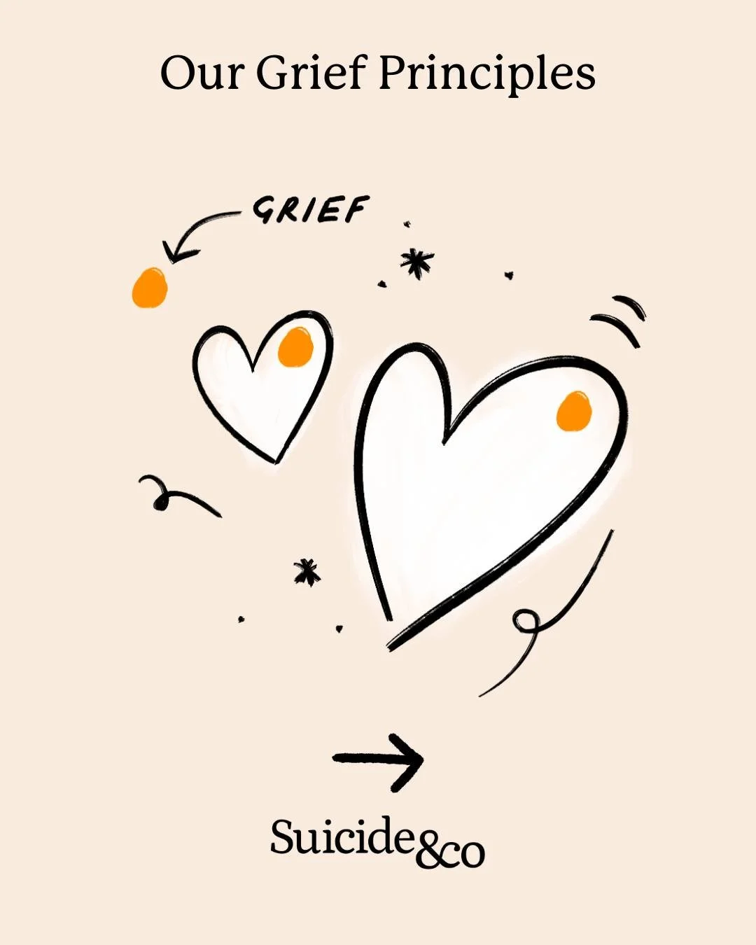 At Suicide&amp;Co, we have our grief principles that we think are key to raise awareness of for ourselves and society.

- All grief is unique: like a finger print each person&rsquo;s experience of grief will be individual.
- It&rsquo;s not a grief Ol