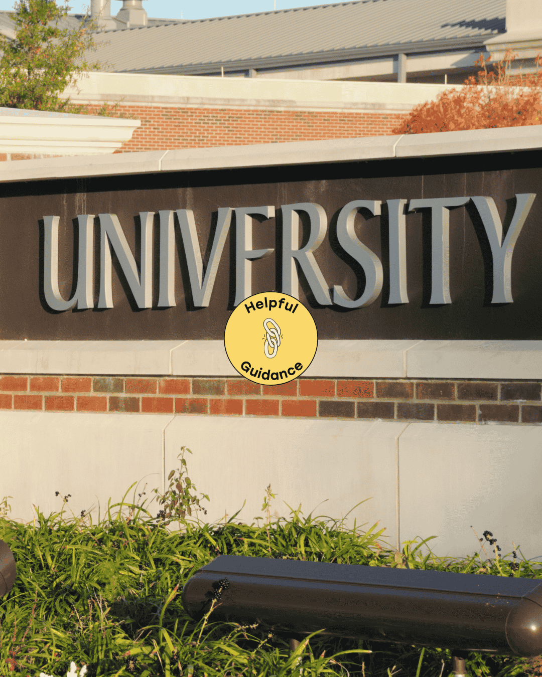 Back to university and suicide loss