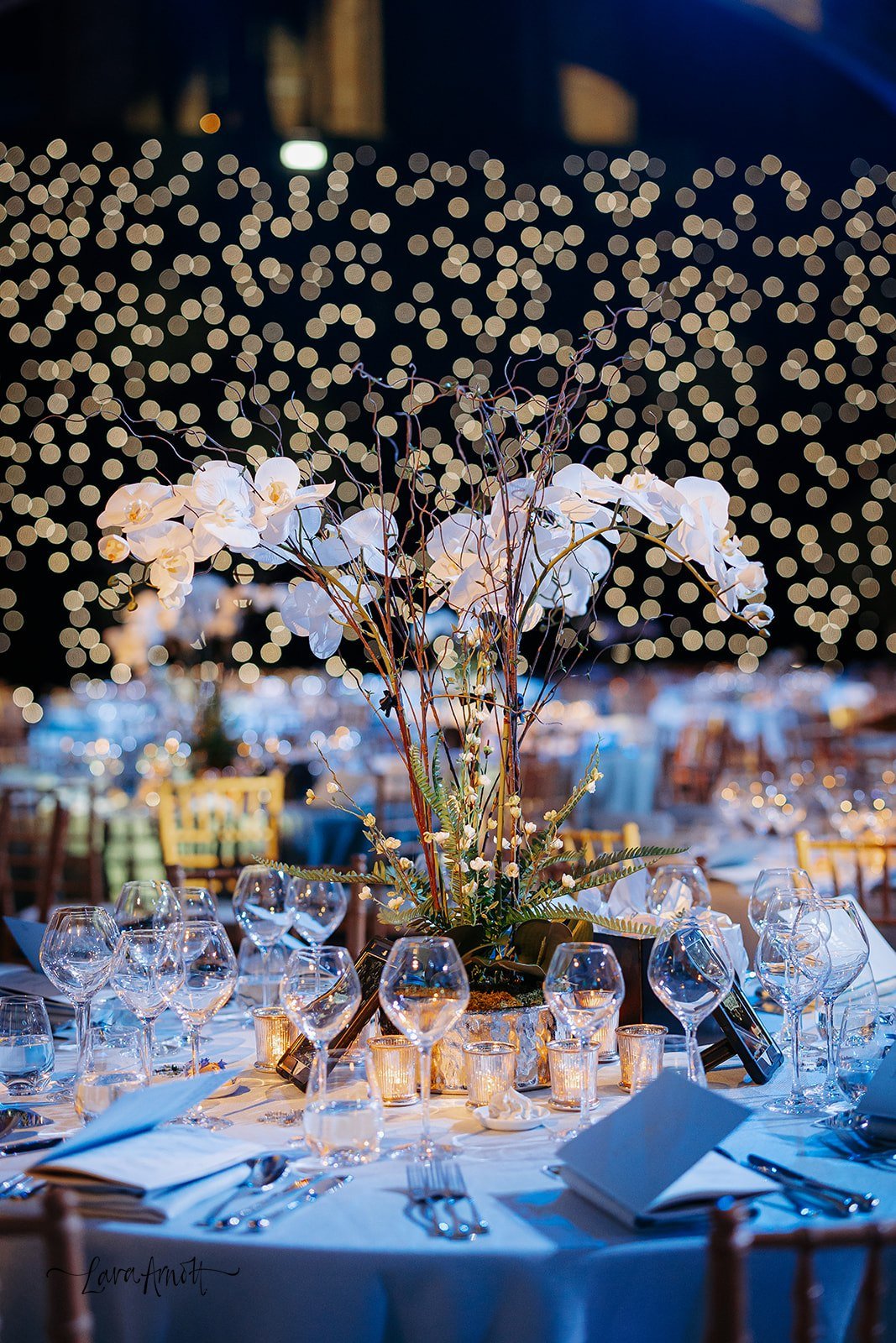 Suicide&Co Ball_November 27_ 2025_239.jpg