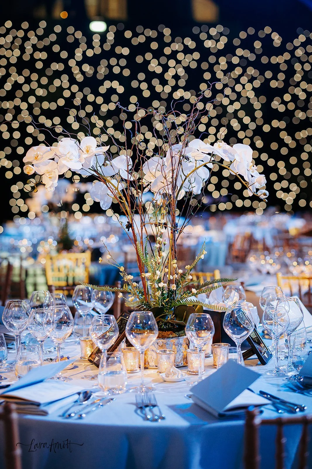 Suicide&Co_November 27_ 2025_231.jpg