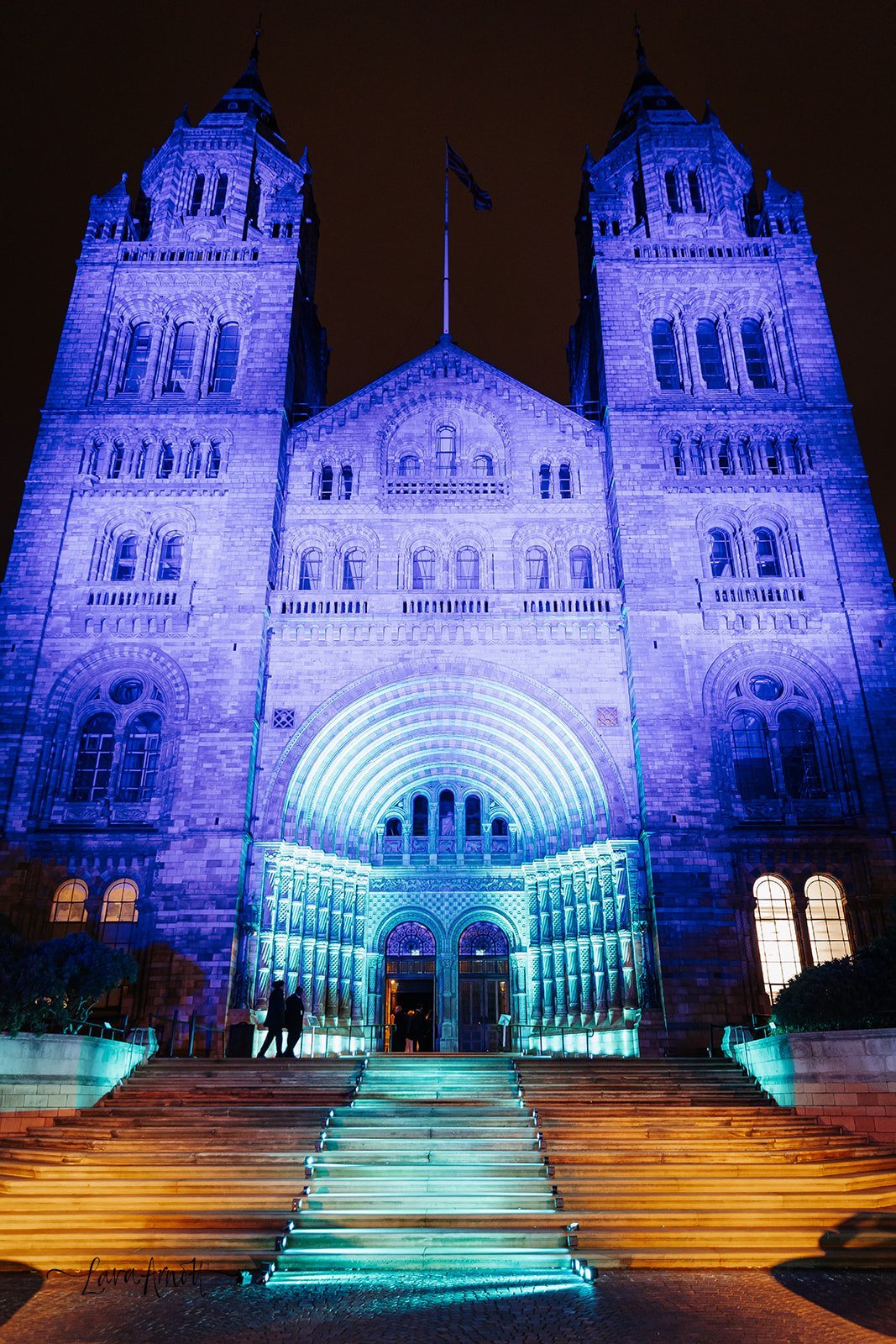 Suicide&Co Ball_November 27_ 2025_3.jpg