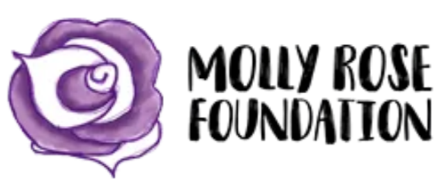 Purple rose graphic with black text reading "The Molly Rose Foundation"