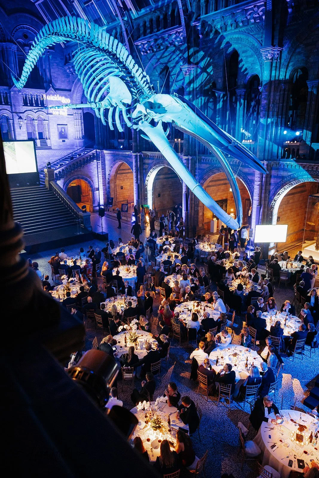 Suicide&Co Ball_November 27_ 2025_515.jpg