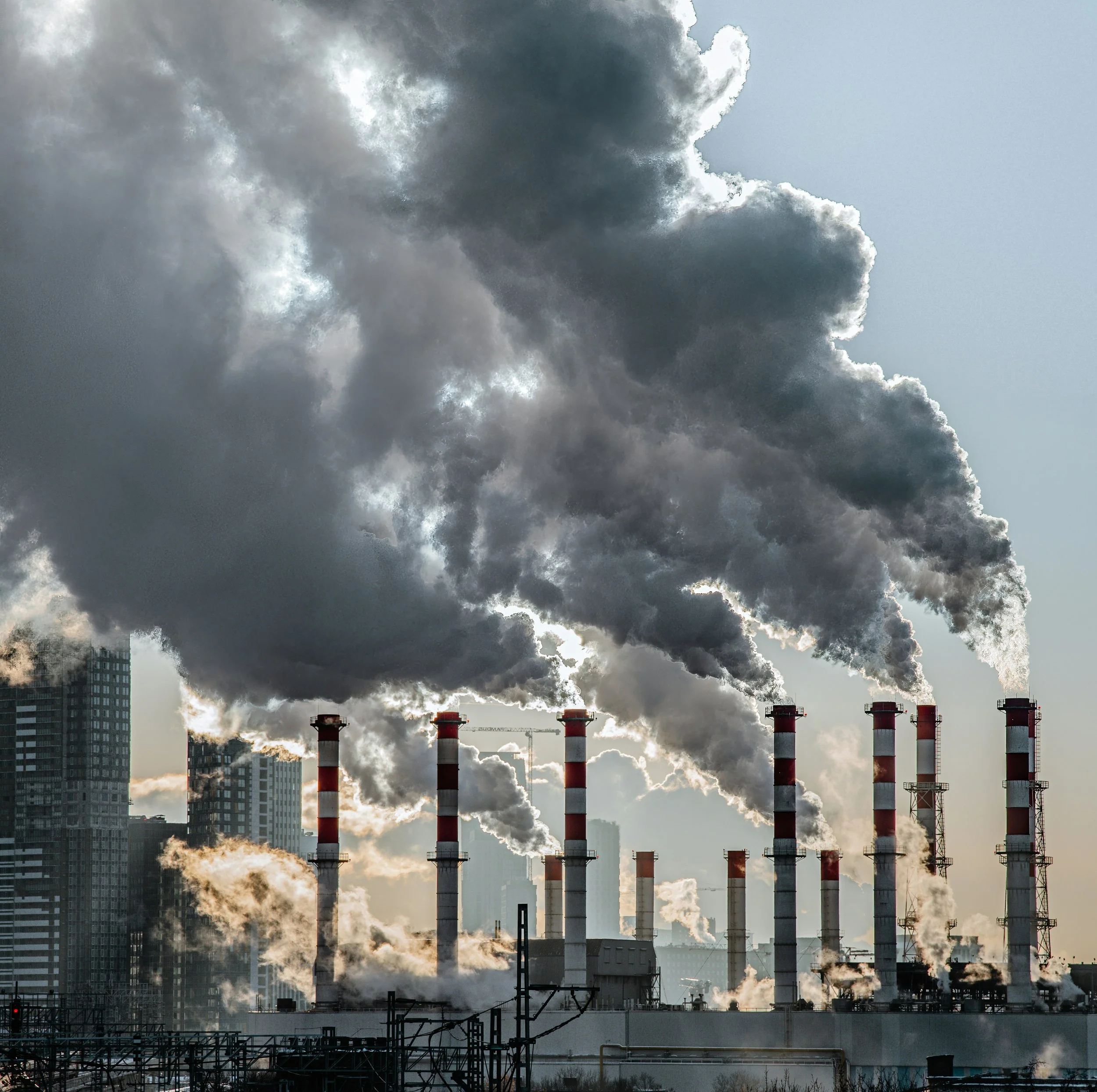 Greenwashing on Trial