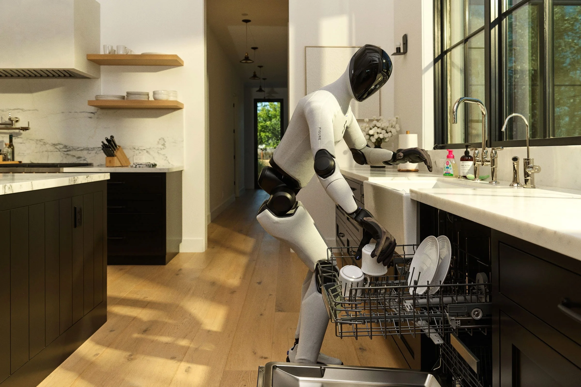 The humanoid revolution