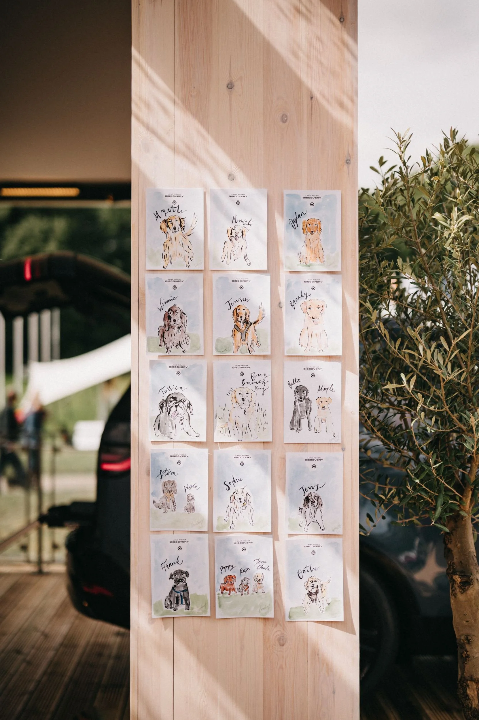 land-rover-discovery-goodwoof-live-dog-portraits-display.jpg