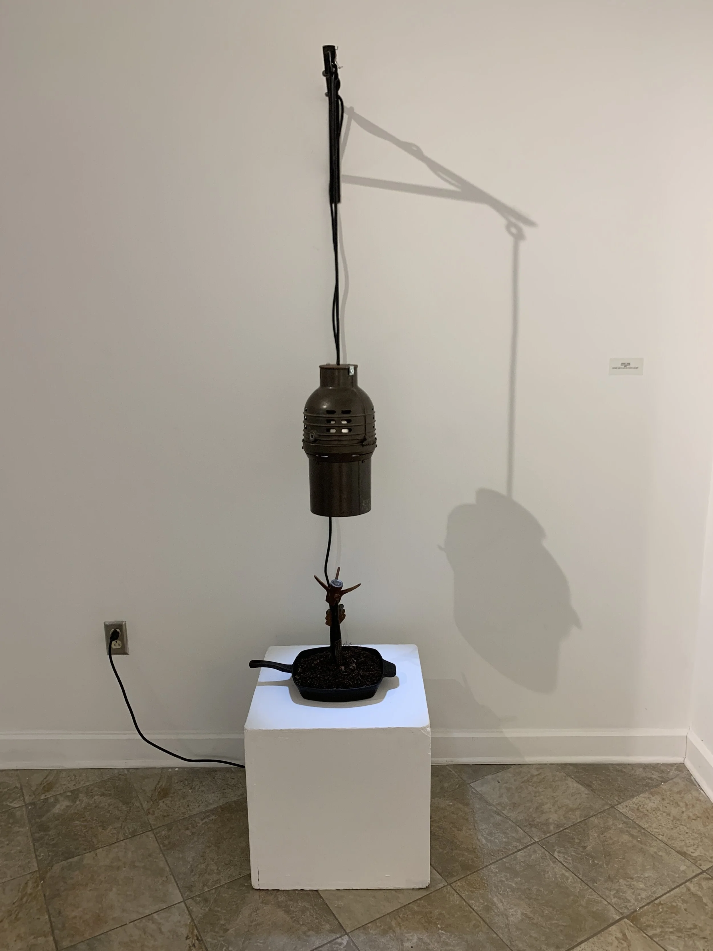 Declan C. King ,
Floral Subversion,
2020,
Spotlight, cast iron pan, soil, hammer, red paint