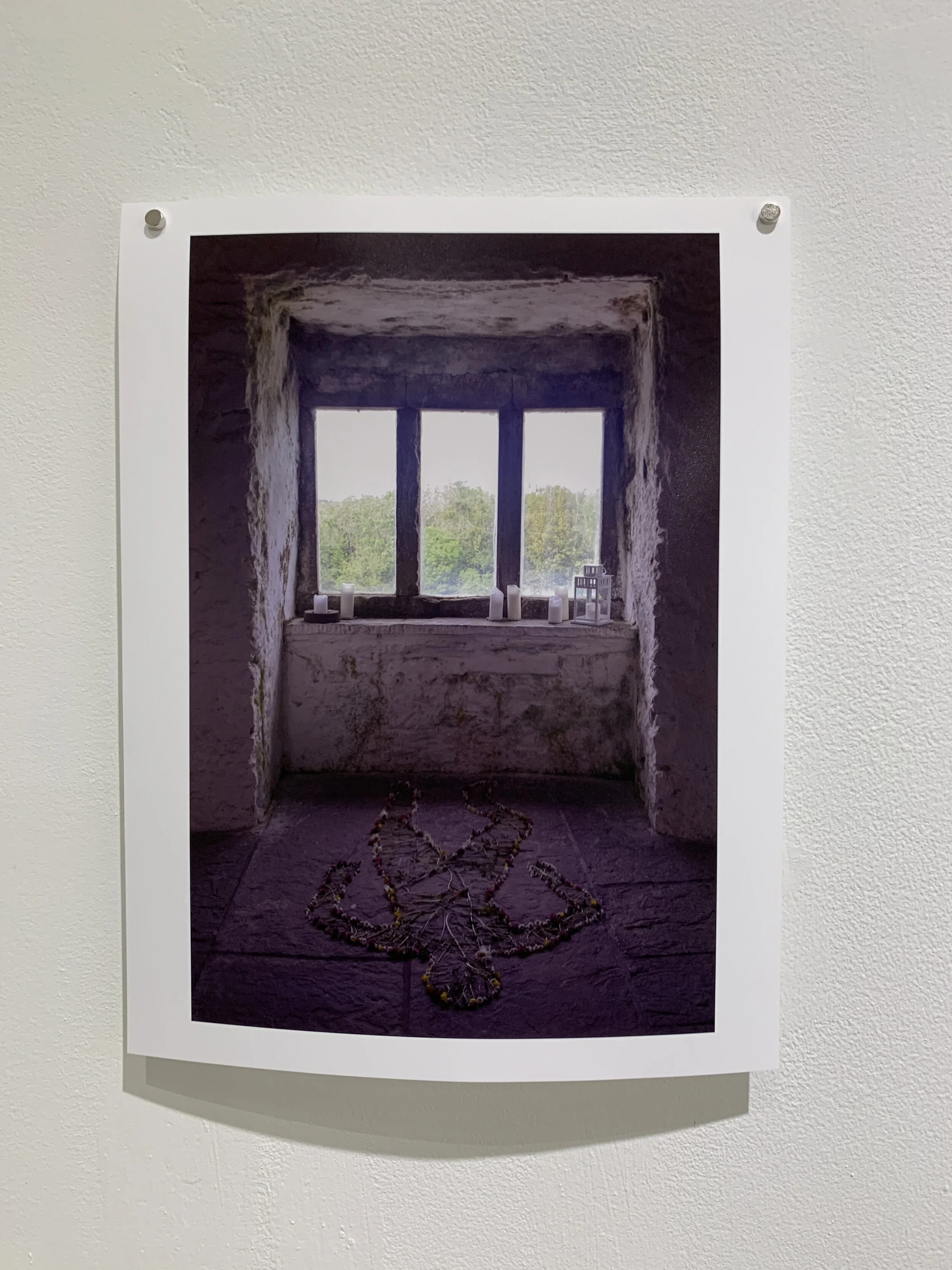 Red Herring ,
My Body in Flowers,
2019,
Digital photograph