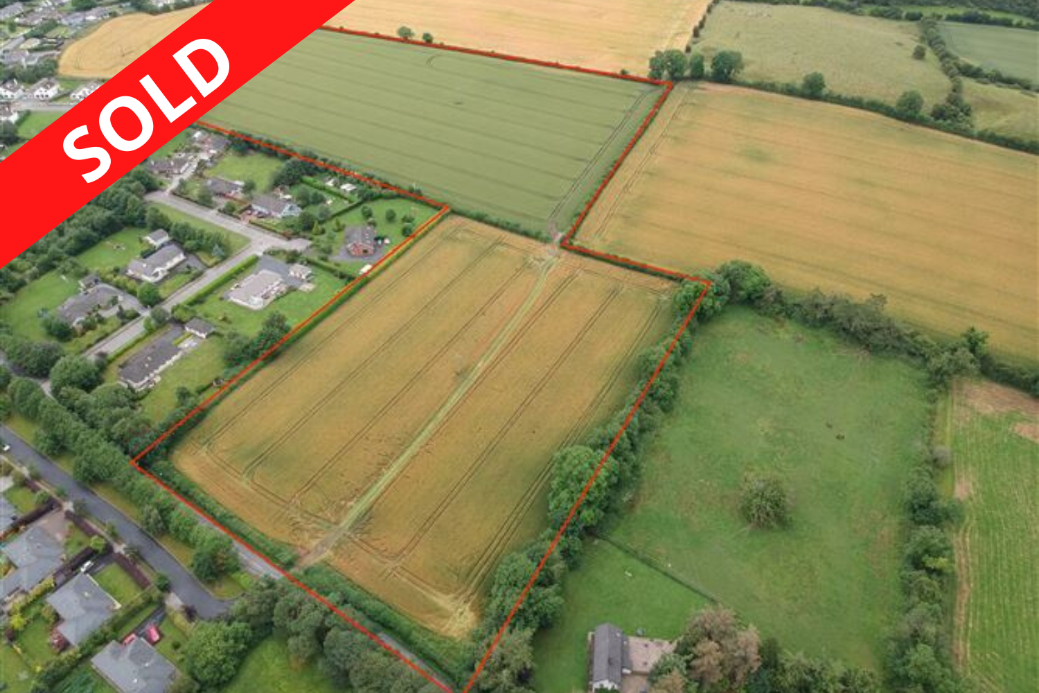 Cutbush, Curragh, Co. Kildare