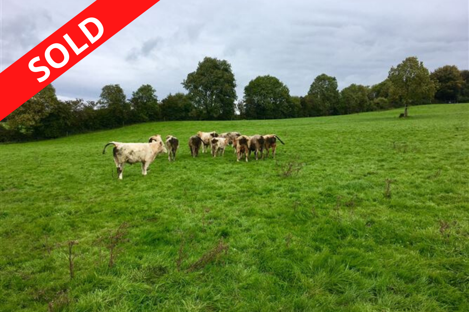 Friarhill &amp; Man O'War, Dunlavin, Co. Wicklow