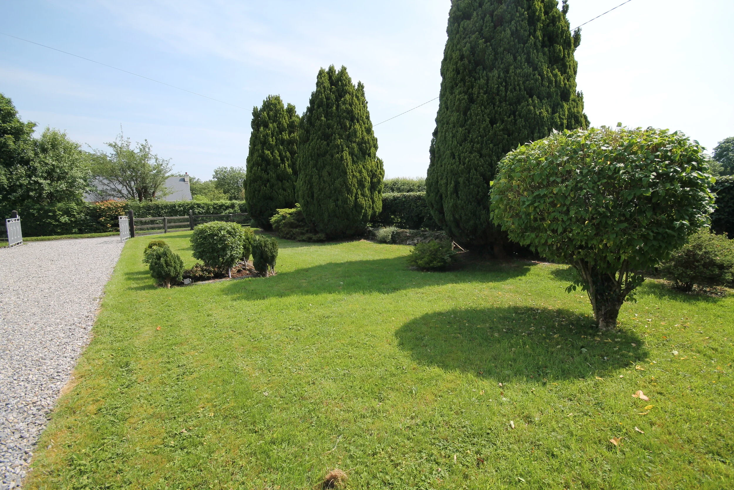 Garden.JPG