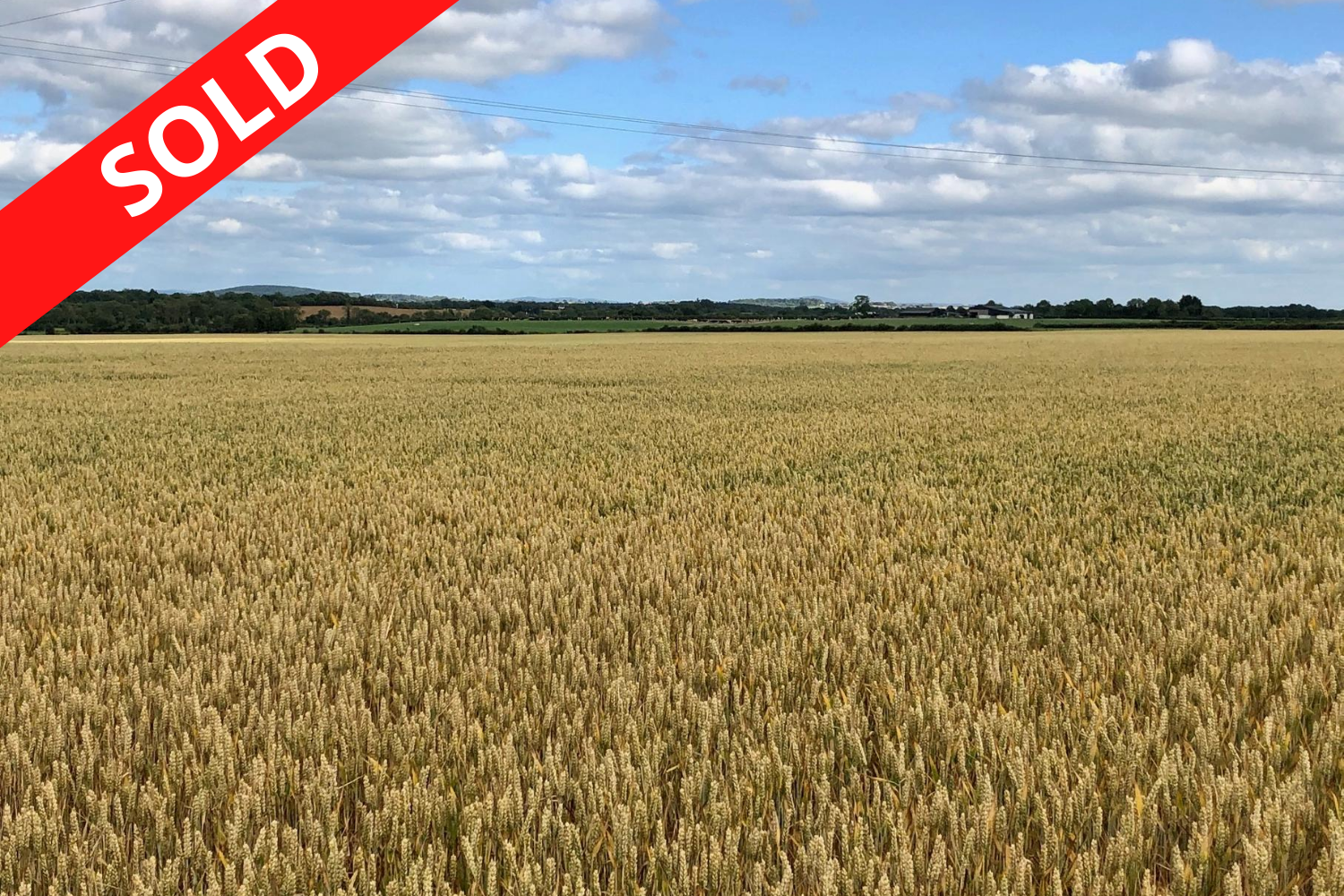 76 Acres at Dunbrin Lower, Athy, Kildare/Laois Border