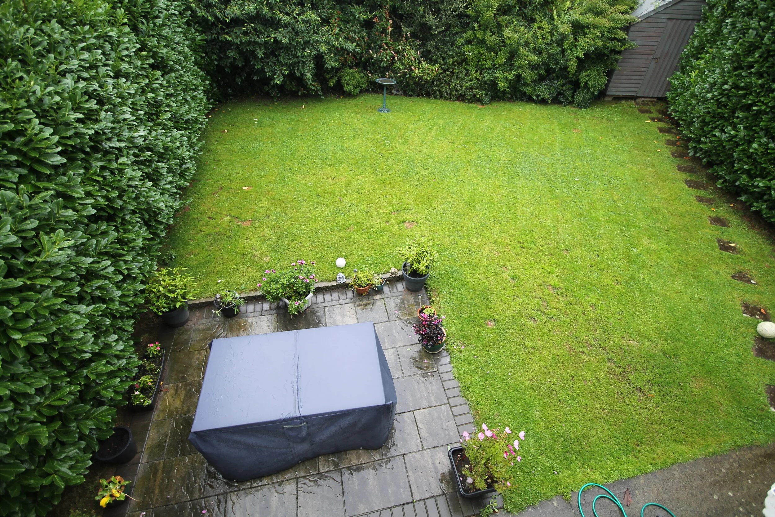 Garden.JPG