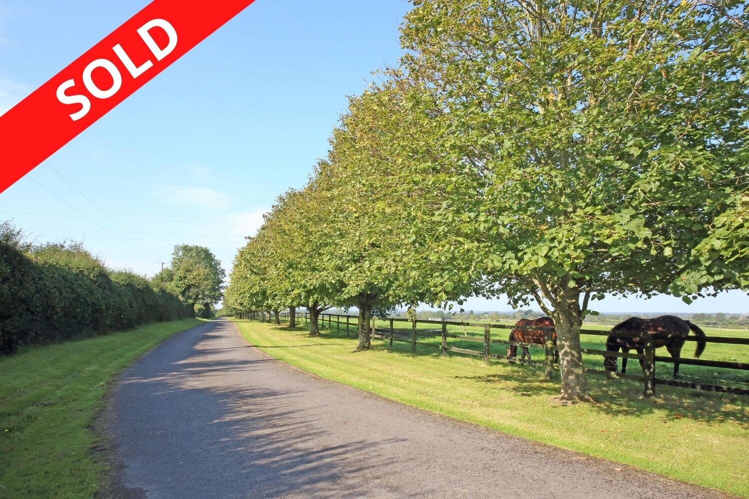 Portree Stables on 57.1 Acres, Boston, Straffan, Co. Kildare