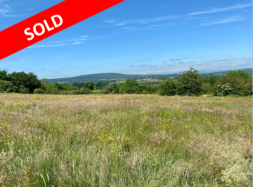 c. 55 Acres at Fossy Upper, Timahoe, Co. Laois