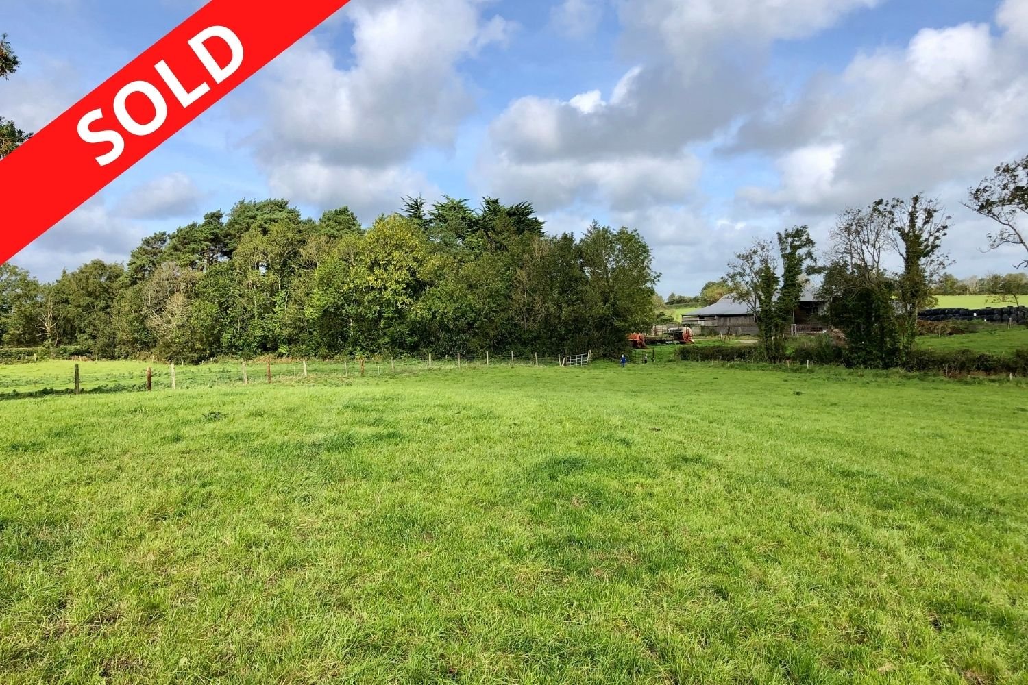 c. 46.2 Acres, Battlemount, Narraghmore, Co. Kildare