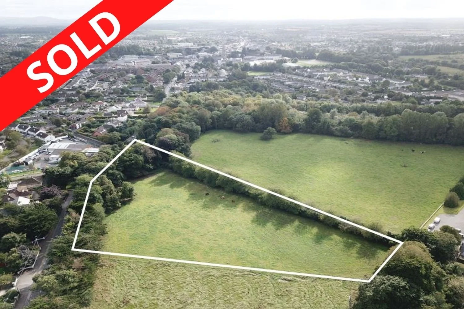 3.24 Acre Residential Development Site at Sallins Road, Naas, Co. Kildare