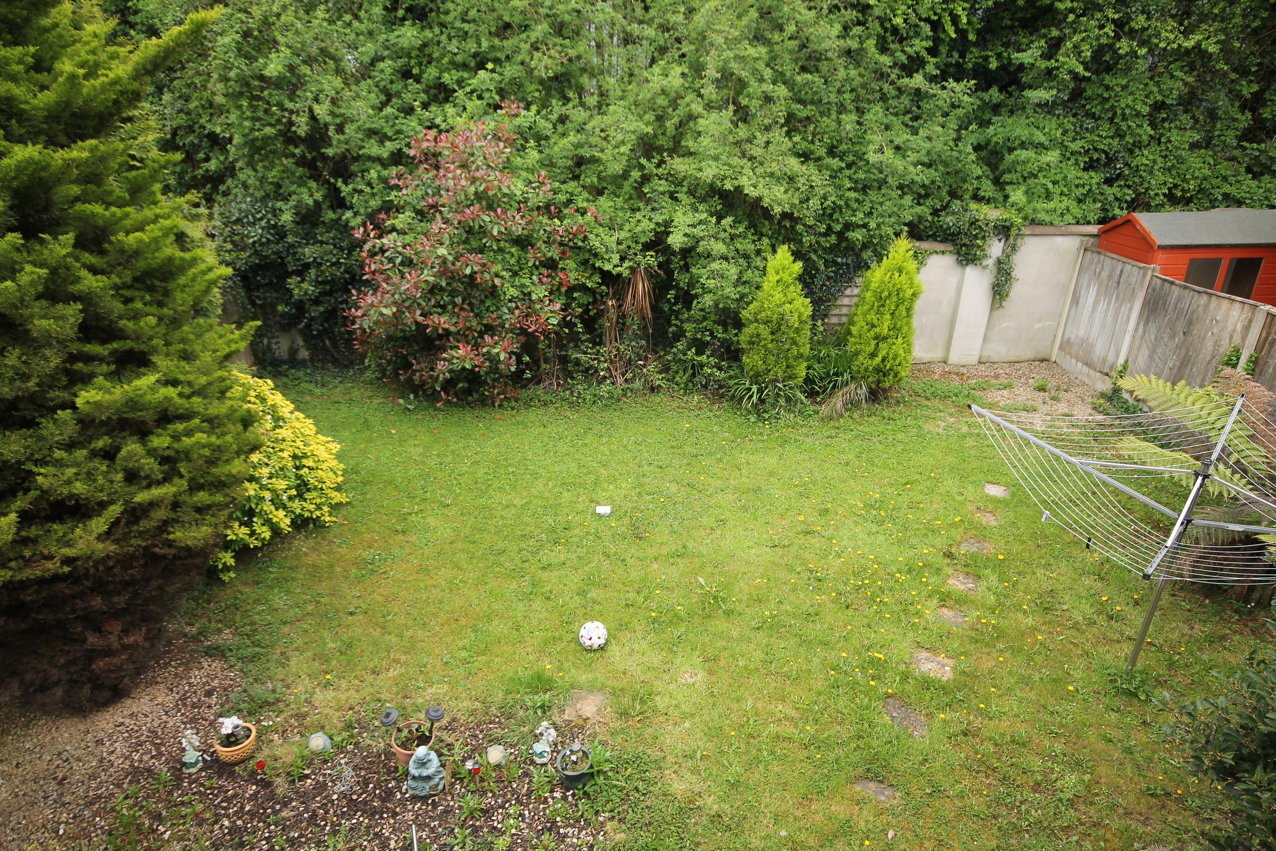 Garden.JPG