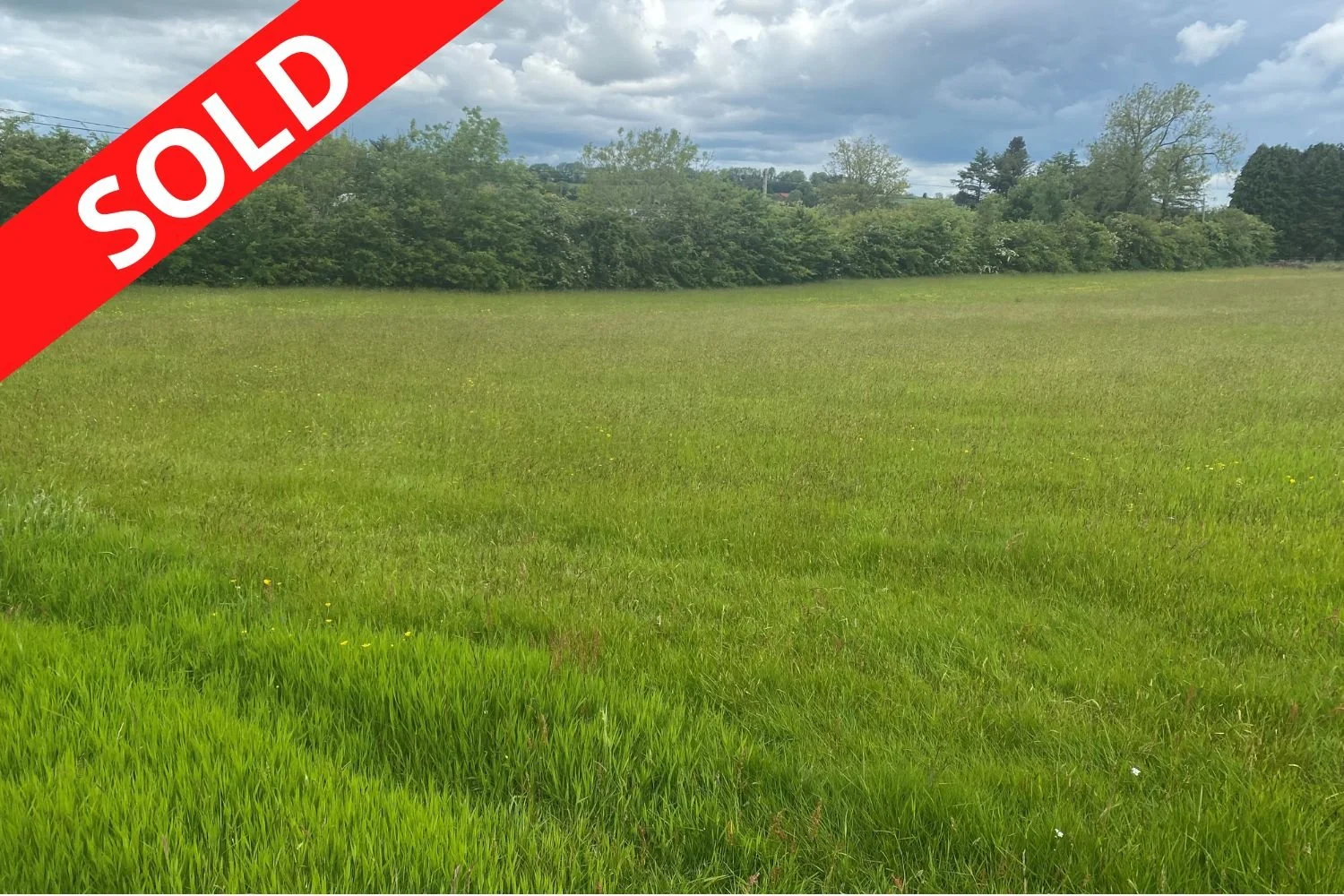 28.6 Acres at Baronstown Upper, Grangecon, Co. Wicklow