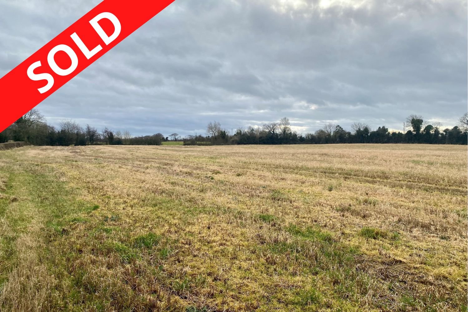 Sold - Lot 3 - 33.26 Acres, Ballyfin.jpg