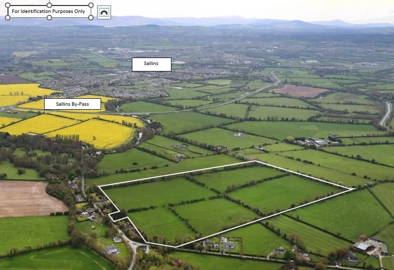 c. 42.407 Acres, Millicent, Sallins, Co. Kildare (In Lots) — Jordan