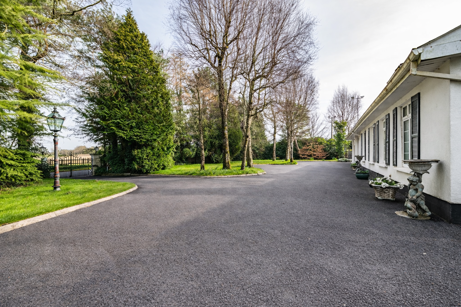 -101 ChatGPT Image Mar 27, 2026, 11_10_58 AM.png