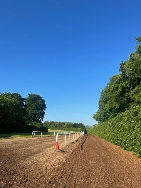 Gallops 1.jpg