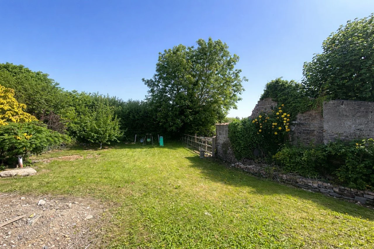 Garden new.jpg