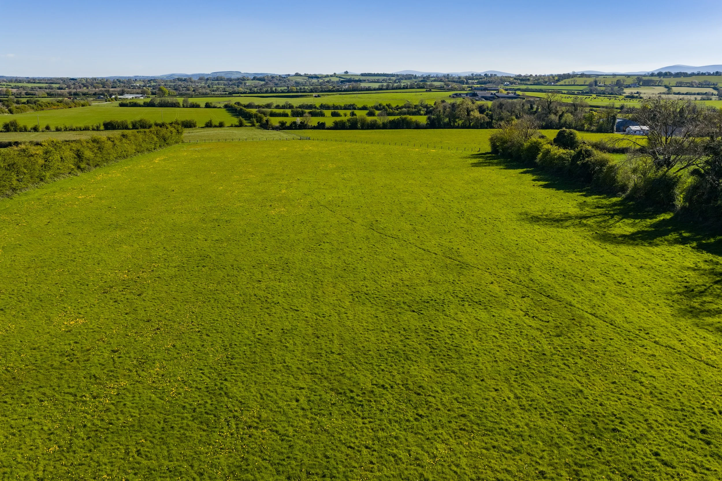 For Sale - Gormanstown, Kilcullen, Co. Kildare (3).jpg