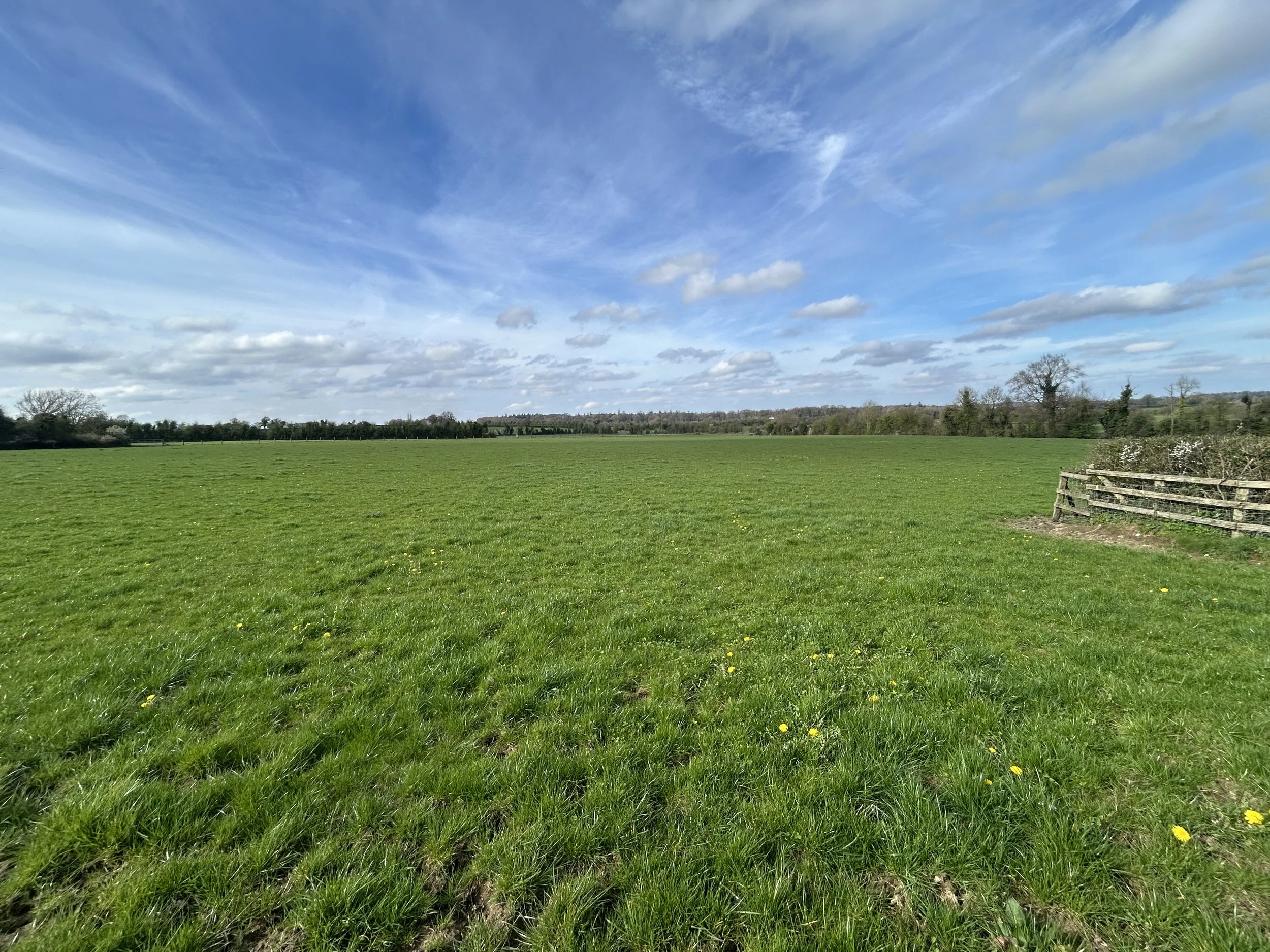 For Sale - Gormanstown, Kilcullen, Co. Kildare (7).jpg