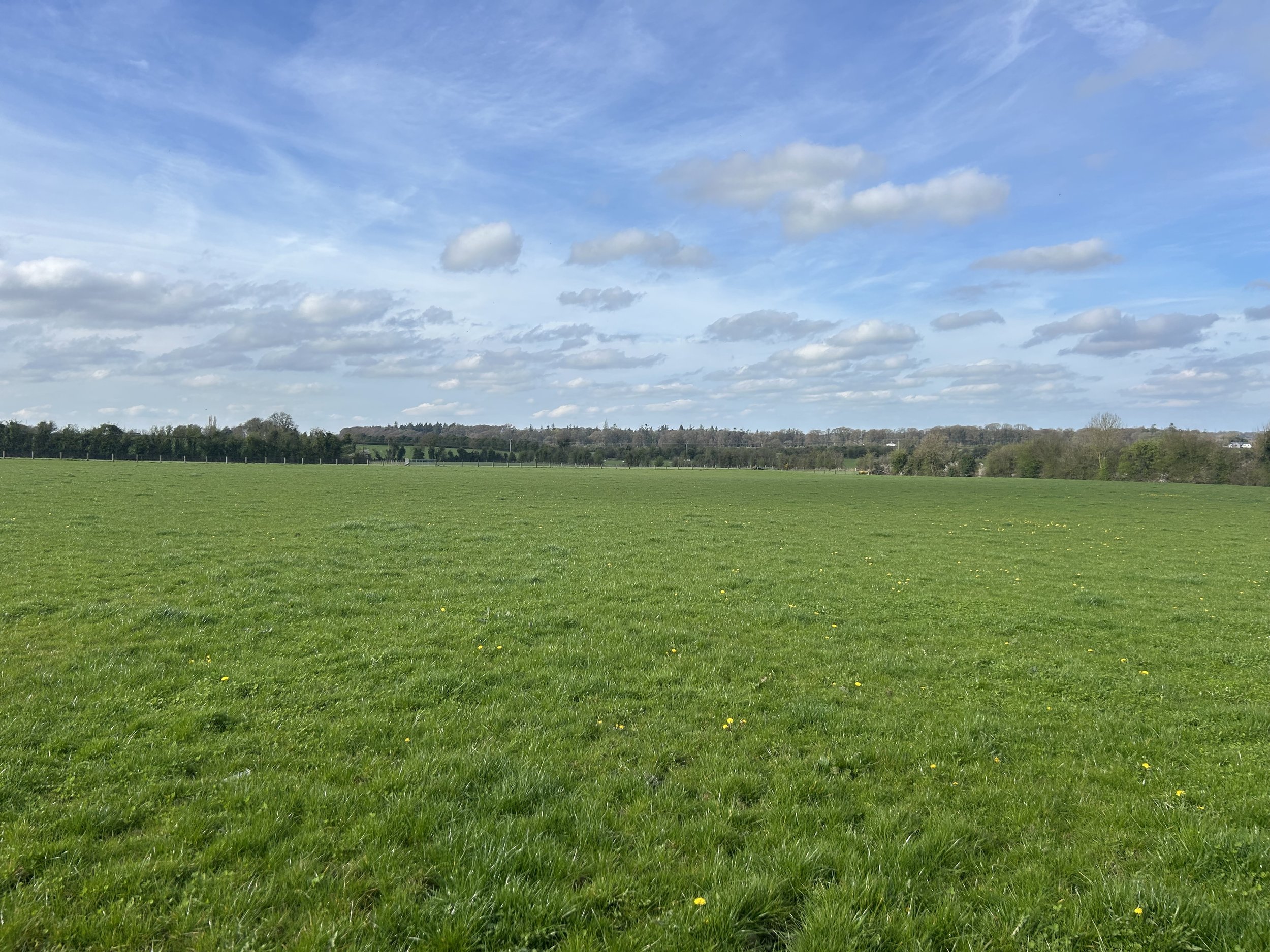 For Sale - Gormanstown, Kilcullen, Co. Kildare (8).jpg