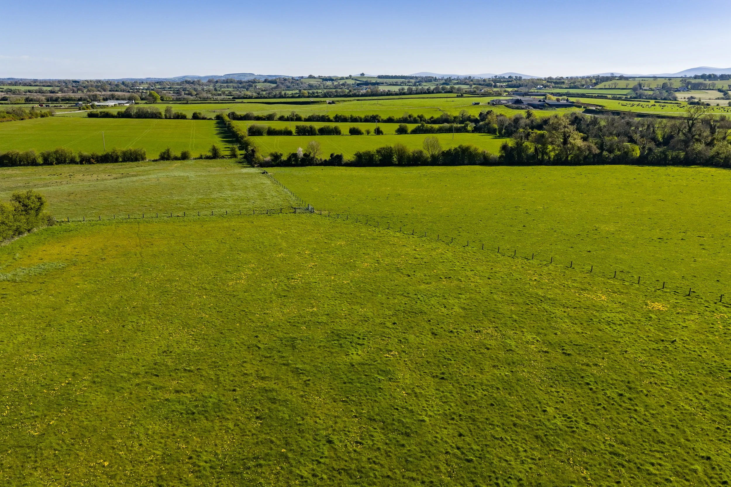 For Sale - Gormanstown, Kilcullen, Co. Kildare (4).jpg