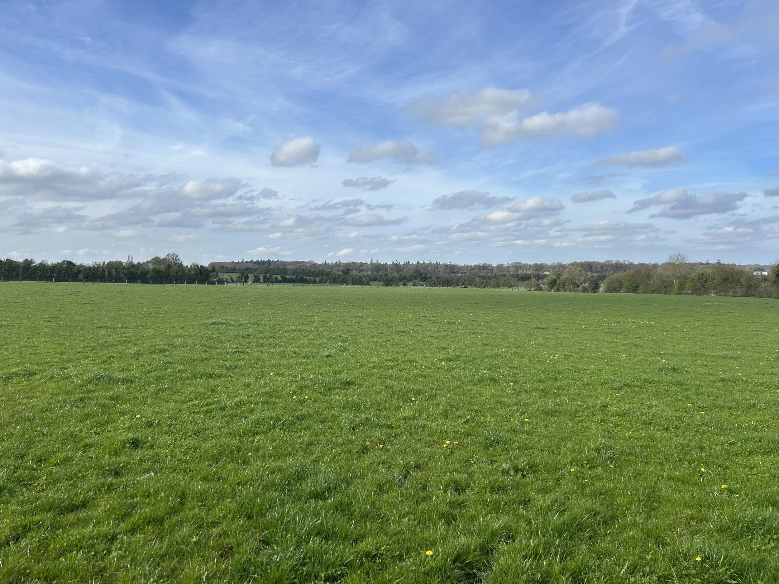 For Sale - Gormanstown, Kilcullen, Co. Kildare (8).jpg