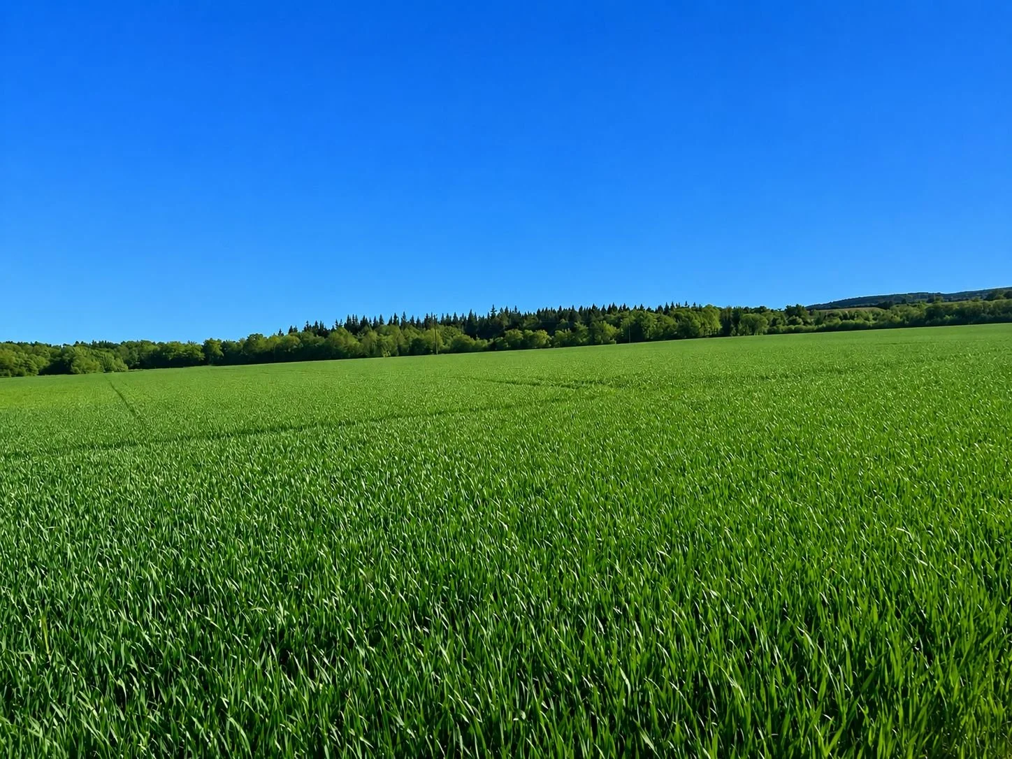 Land 2.jpg