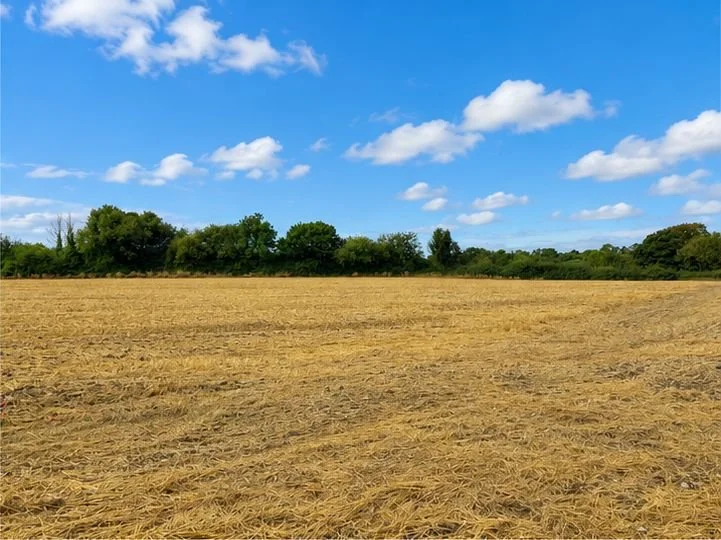 Land 2.jpg