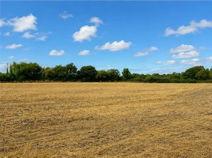 Land 4.jpg